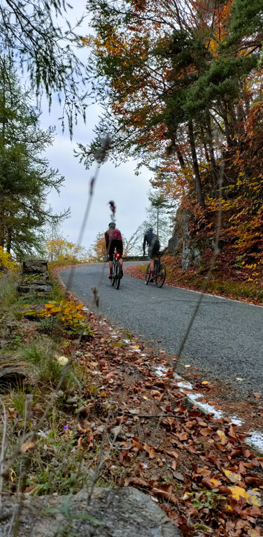 riding-gravel-5-desktop.jpg