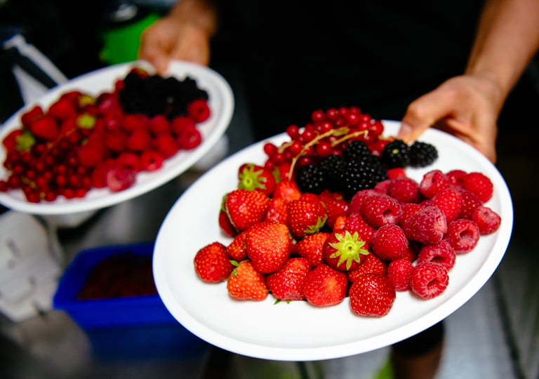 sports-nutrition-1_cover_desk.jpg